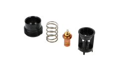 Cartouche thermostatique pour kit TERMOVAR COMBI modèle ErP