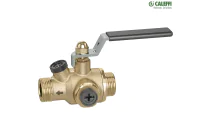 Vanne à sphère BALLSTOP avec clapet anti-retour extractible